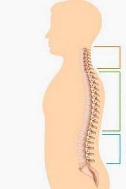 vereség a gerinc különböző részeinek osteochondrosisával